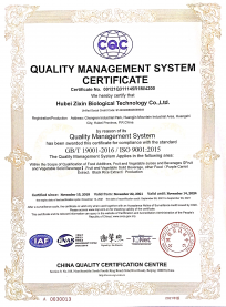ISO 9001 QMS certificate 2021_2